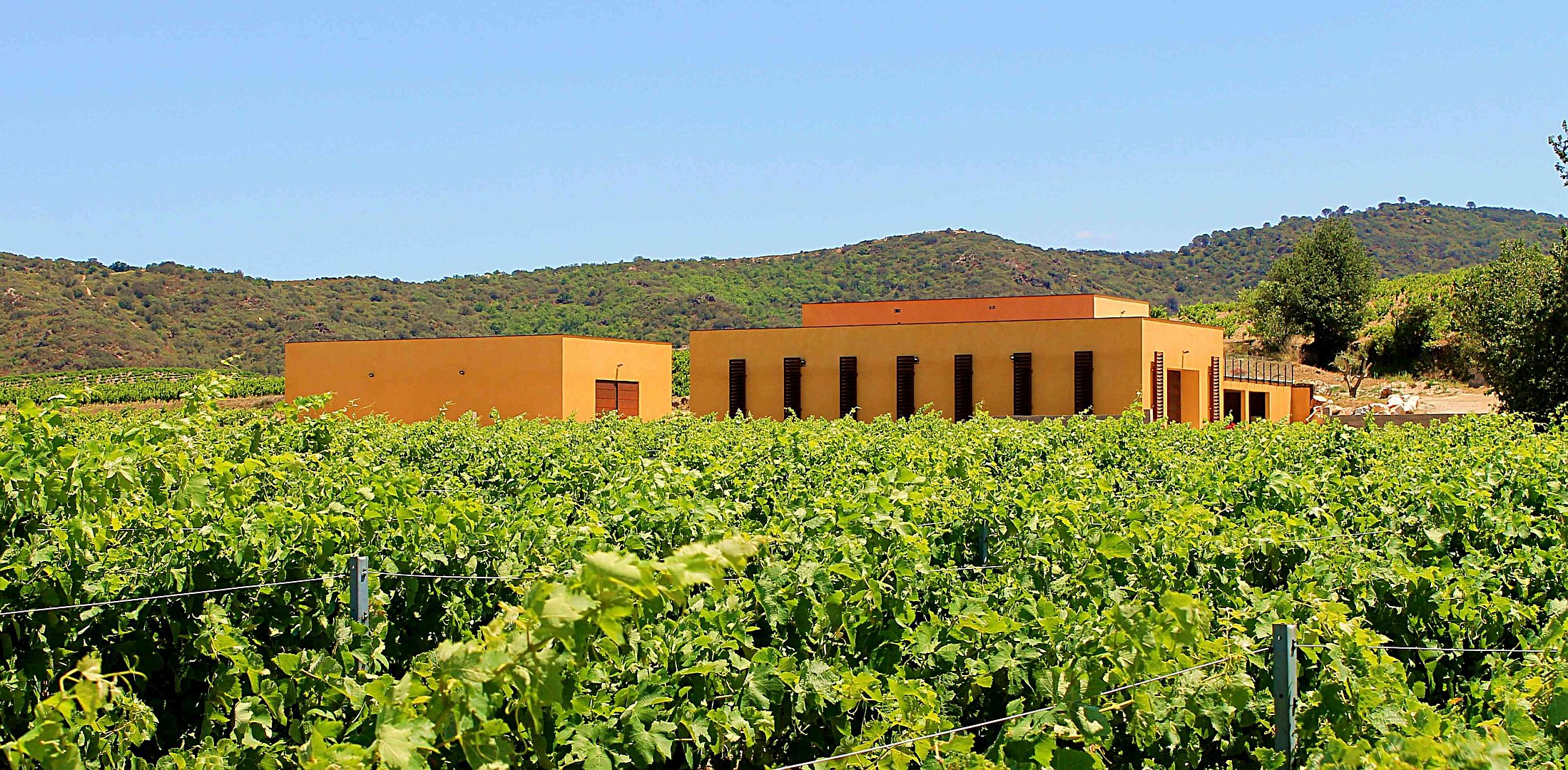 Domaine Deveza