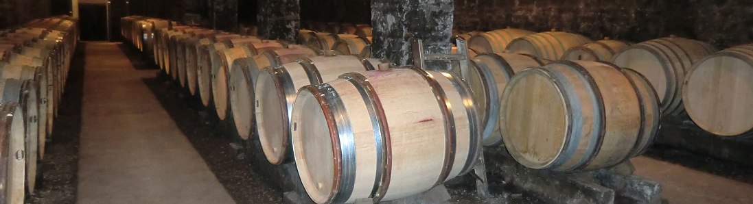 Domaine Philippe Gavignet, Ældning af økologisk vin på egetræstønder og vinfade